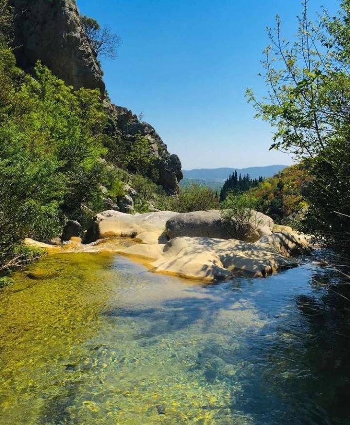 Dumezic * Bar
